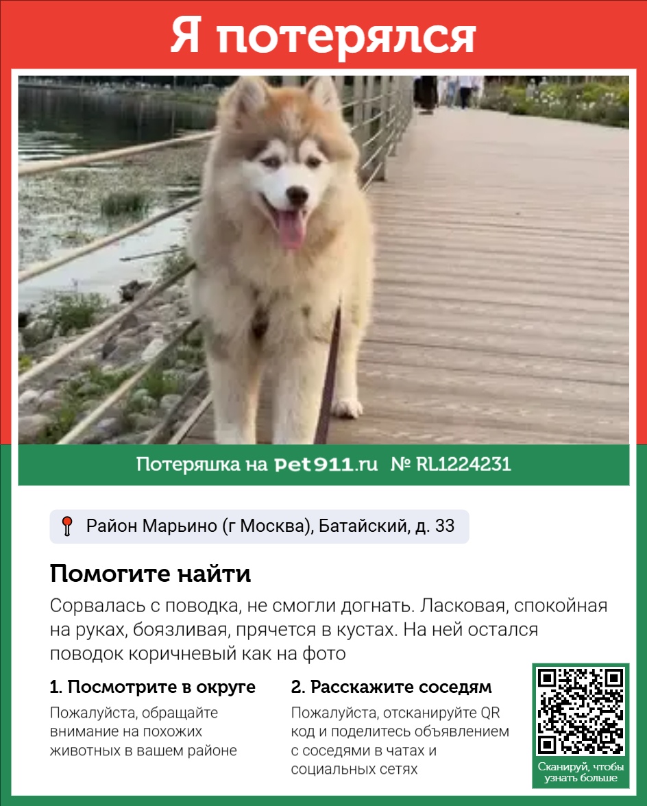 Найдена собака в Реутове — фото объявления