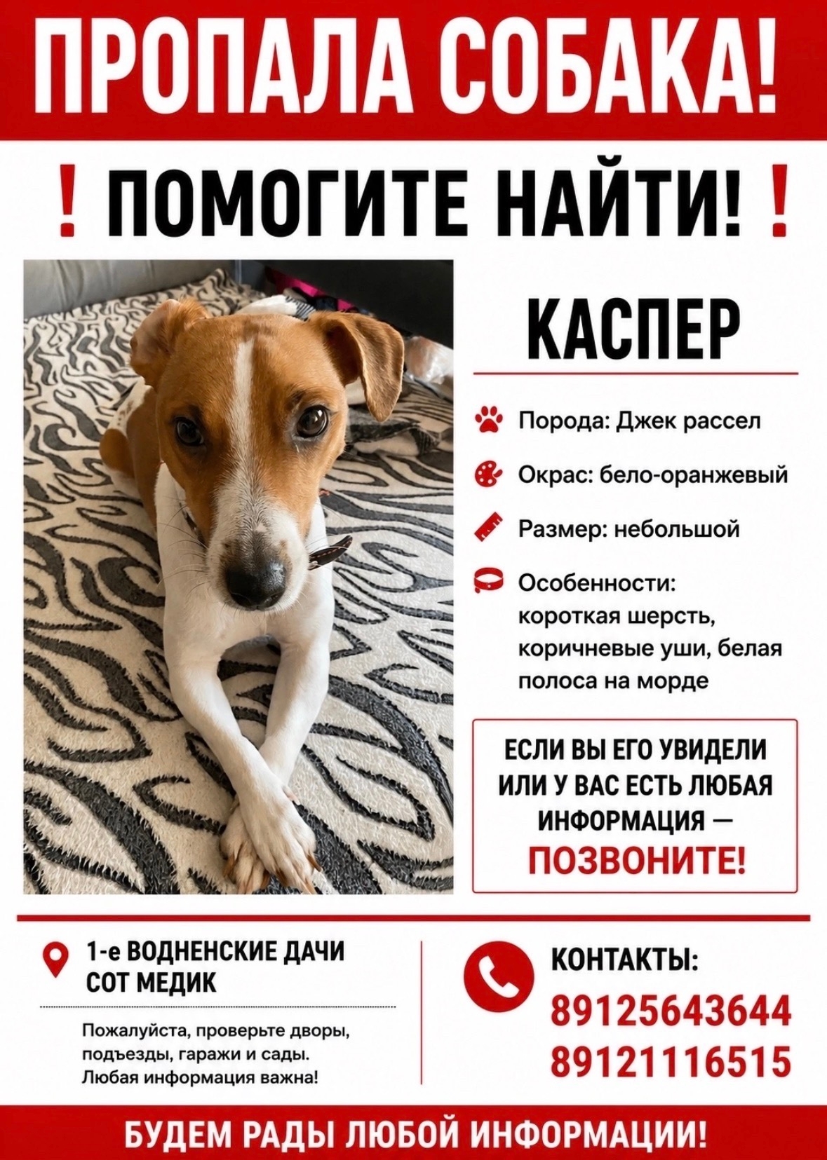 Объявление о питомце в Ухте — фото объявления