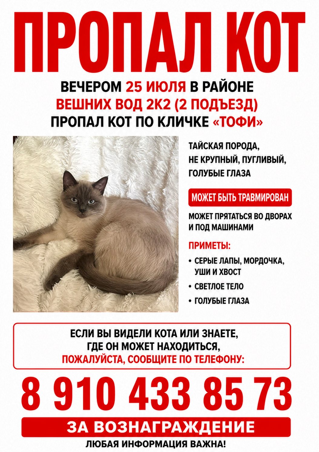 Пропала кошка в Москве — фото объявления