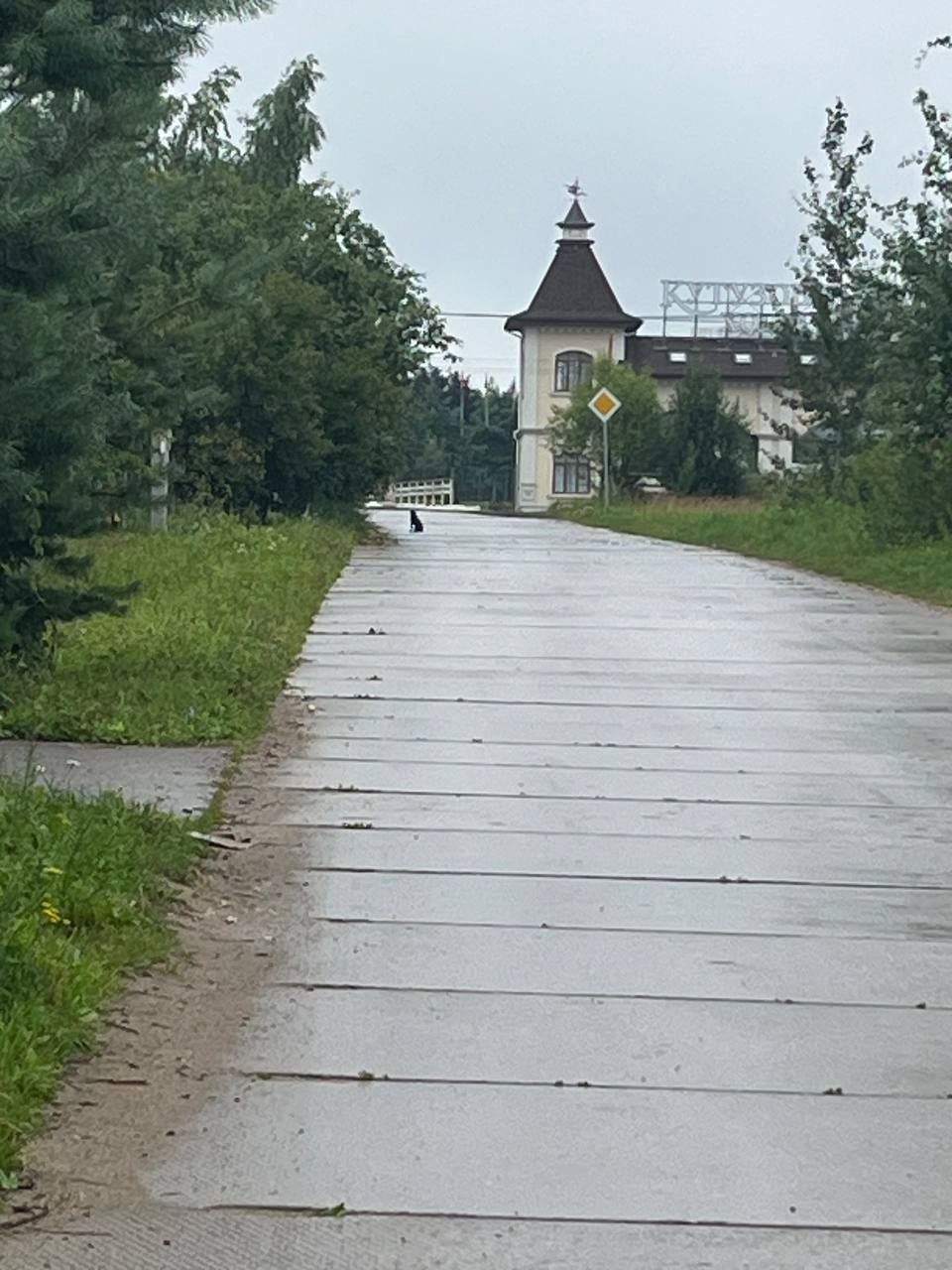 Найдена собака в Раменском — фото объявления