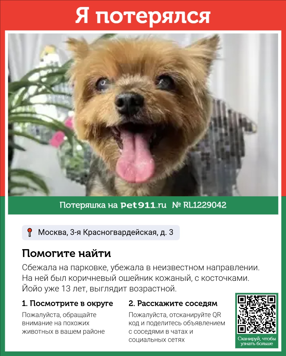 Найдена собака в Ивантеевке — фото объявления