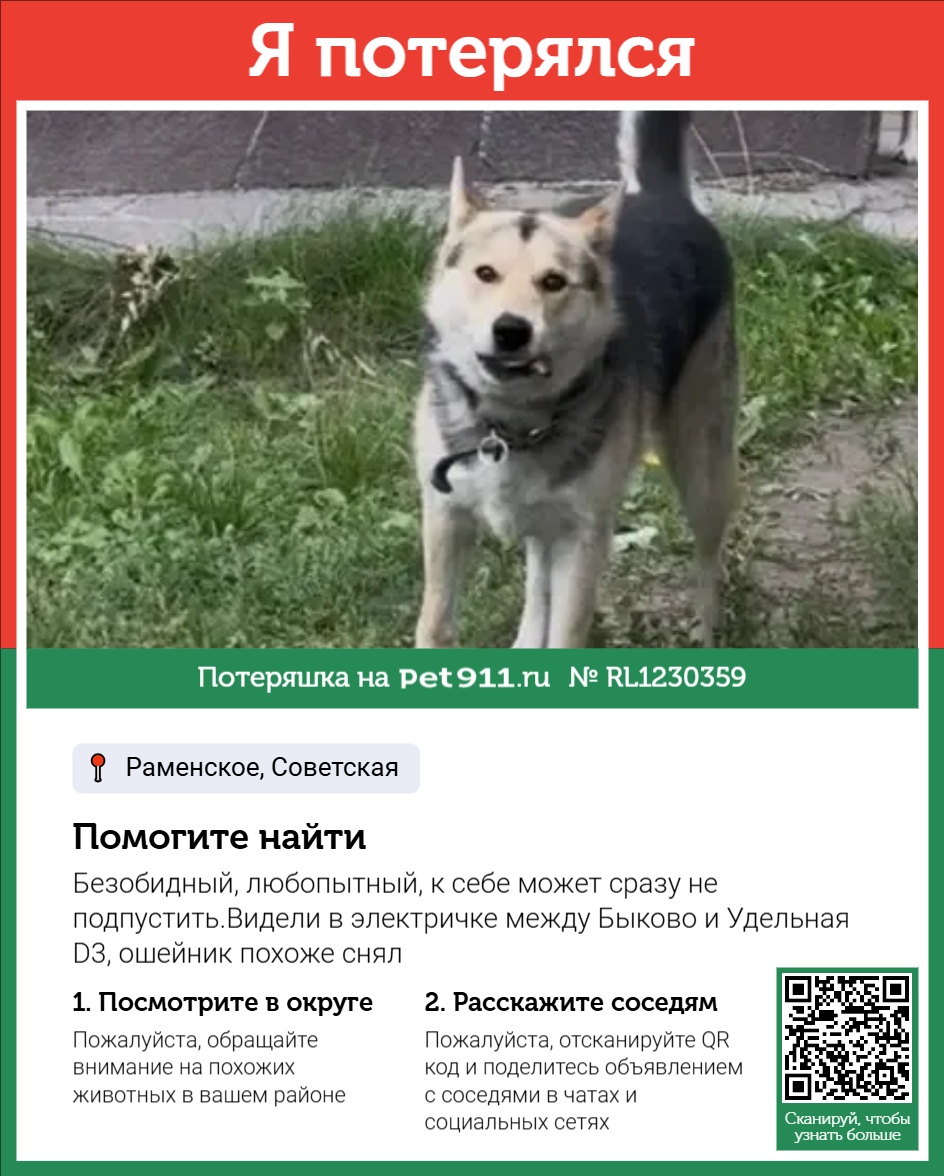 Найдена собака в Октябрьском — фото объявления