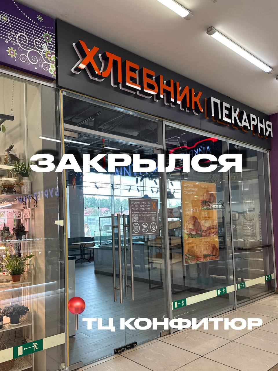 Объявление о питомце в Долгопрудном — фото объявления