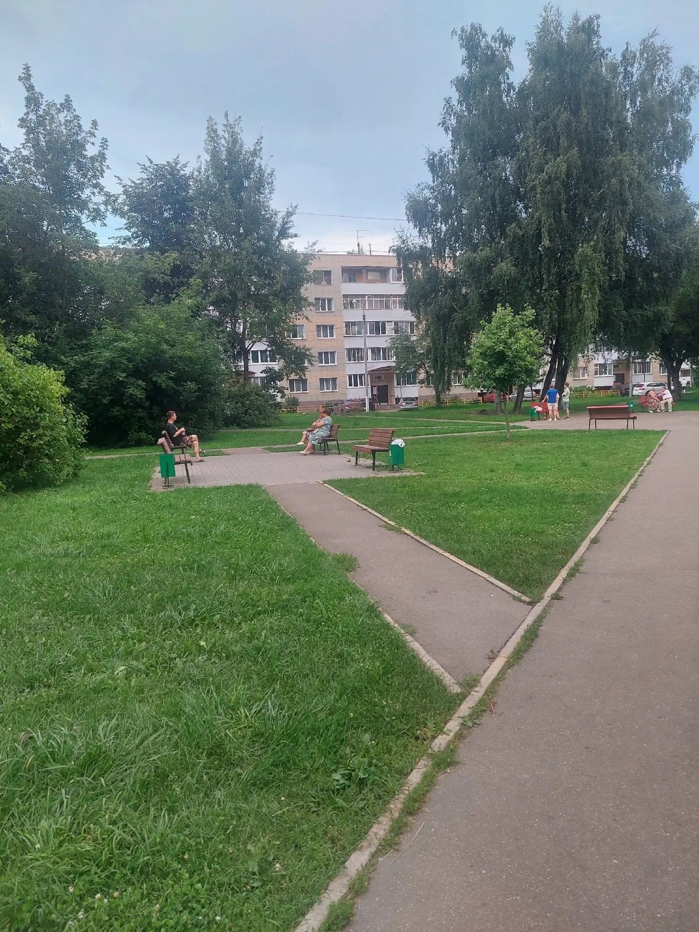 Объявление о питомце в Ногинске — фото объявления