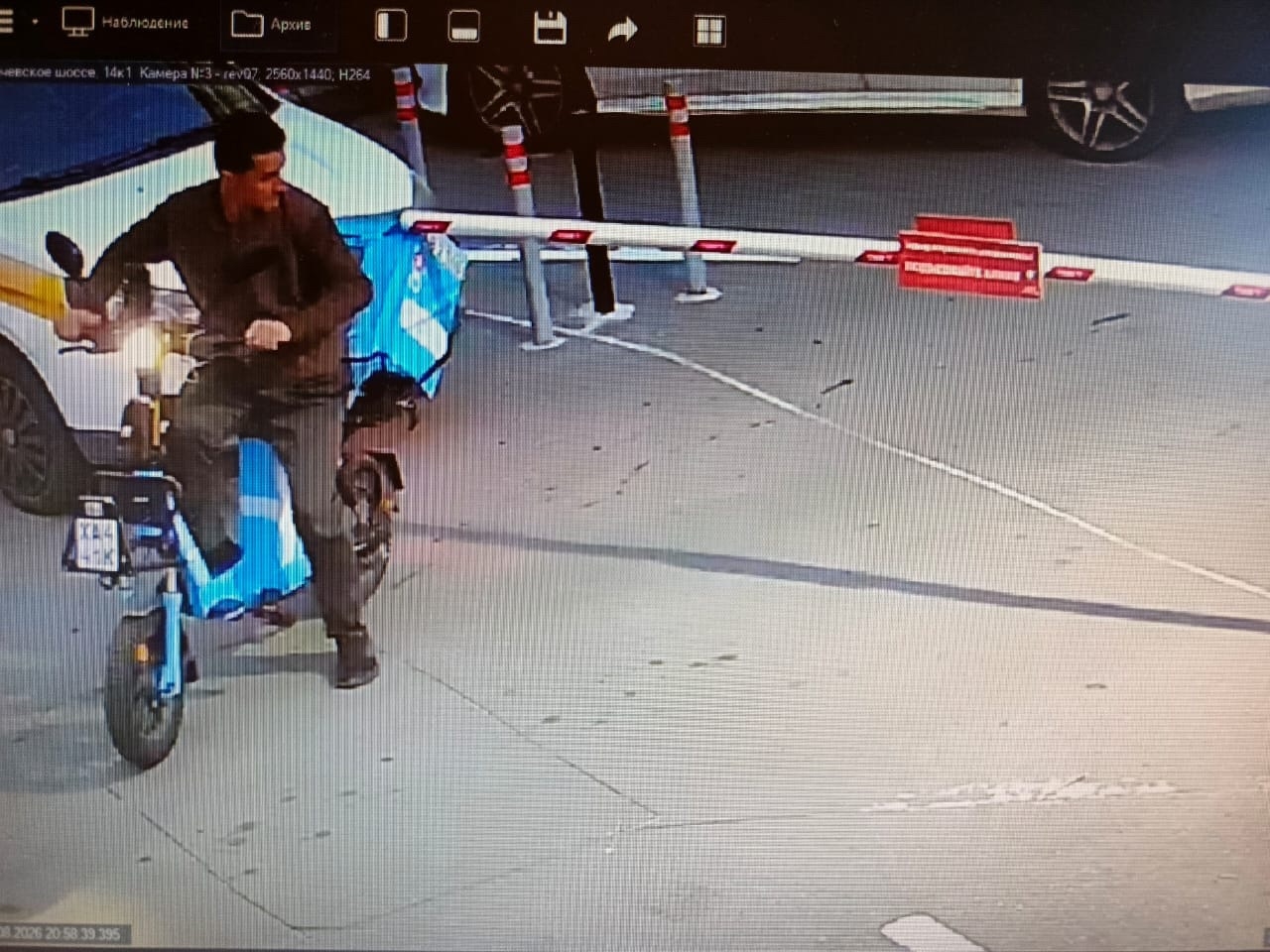 Объявление о питомце в Долгопрудном — фото объявления