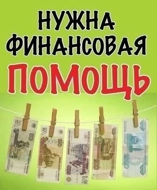 Пропала собака в Перми — фото объявления