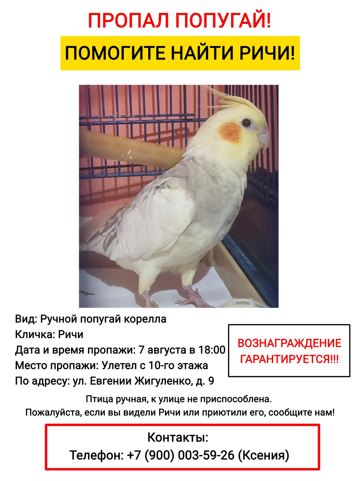 Объявление о питомце в Краснодаре — фото объявления