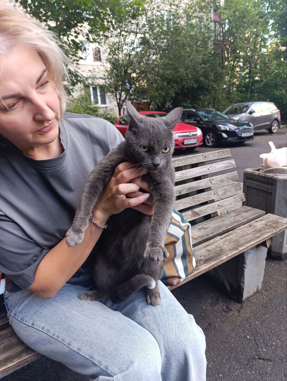 Найдена кошка в Санкт-Петербурге — В районе купчино найдена кошка
