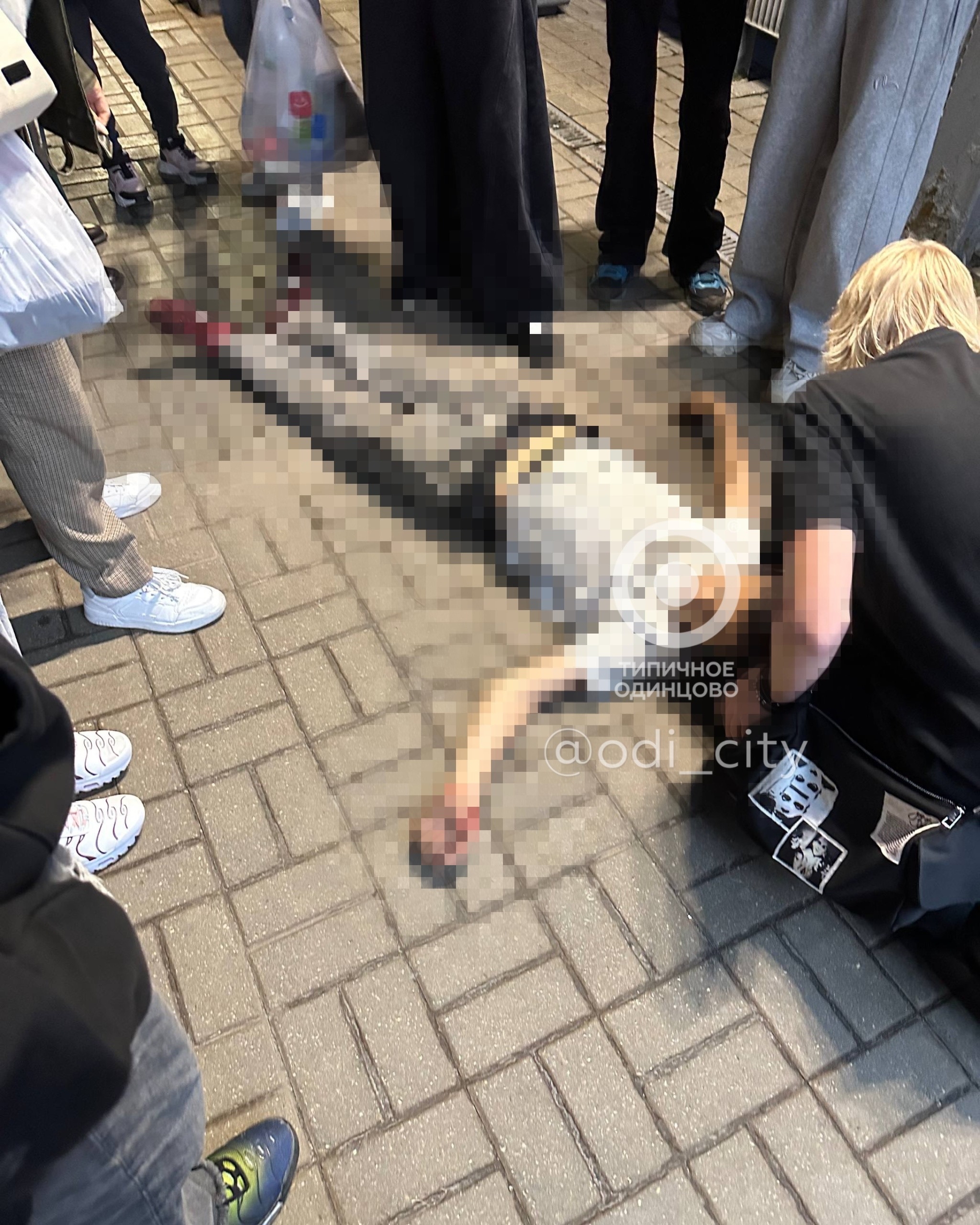 Объявление о питомце в Одинцове — фото объявления