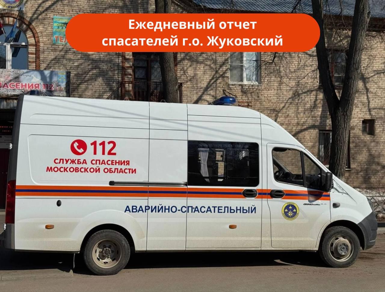 Найдена собака в Жуковском — фото объявления