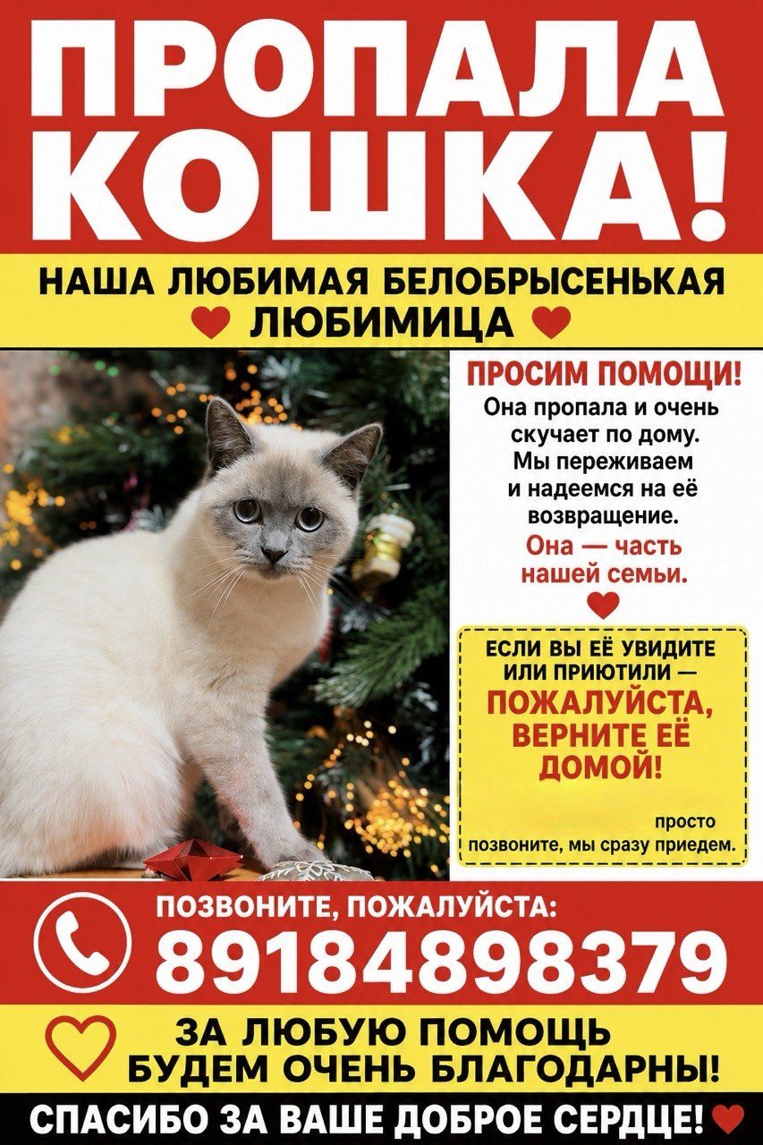 Пропала кошка в Анапе — фото объявления