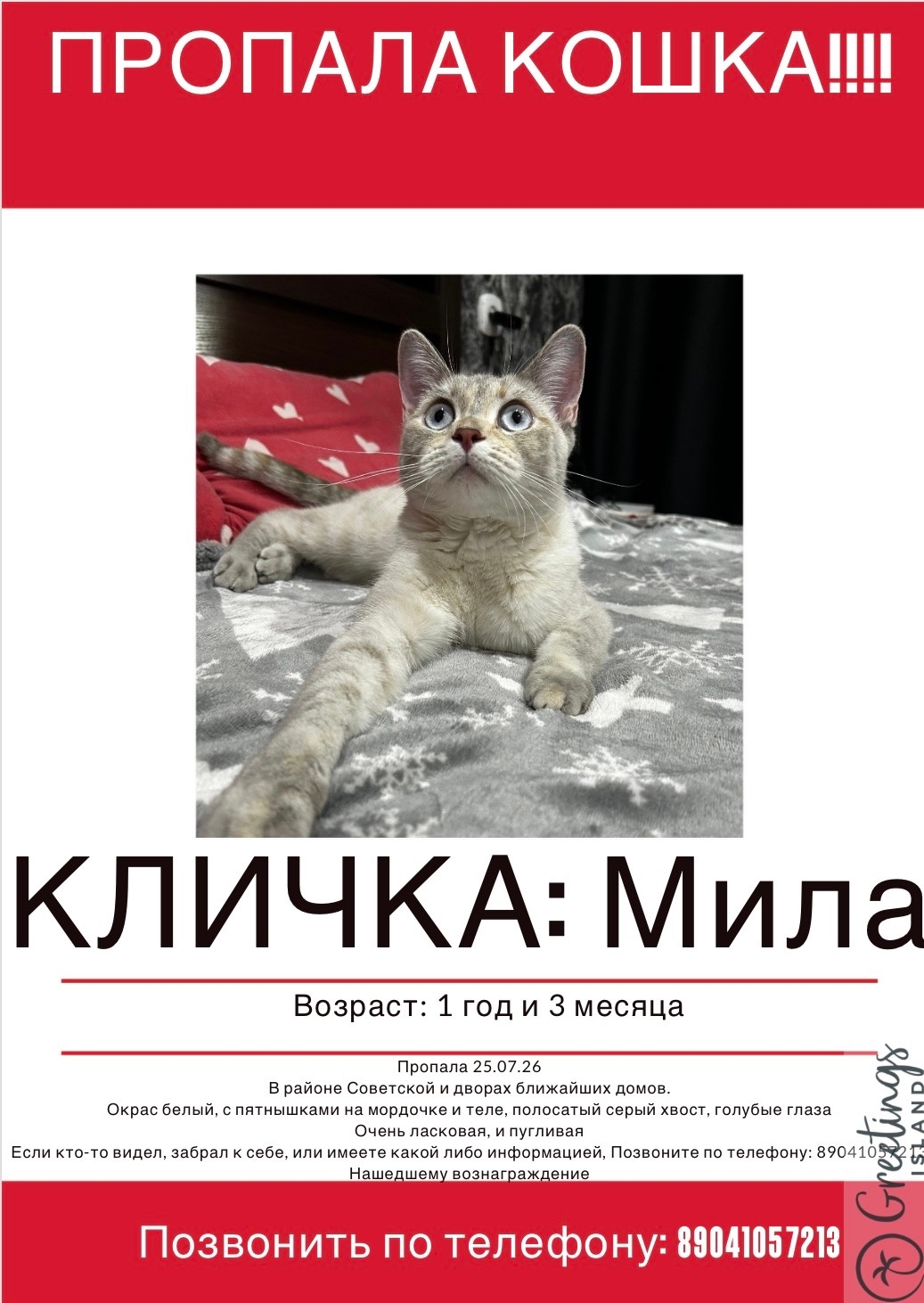 Найдена собака в Ухте — фото объявления