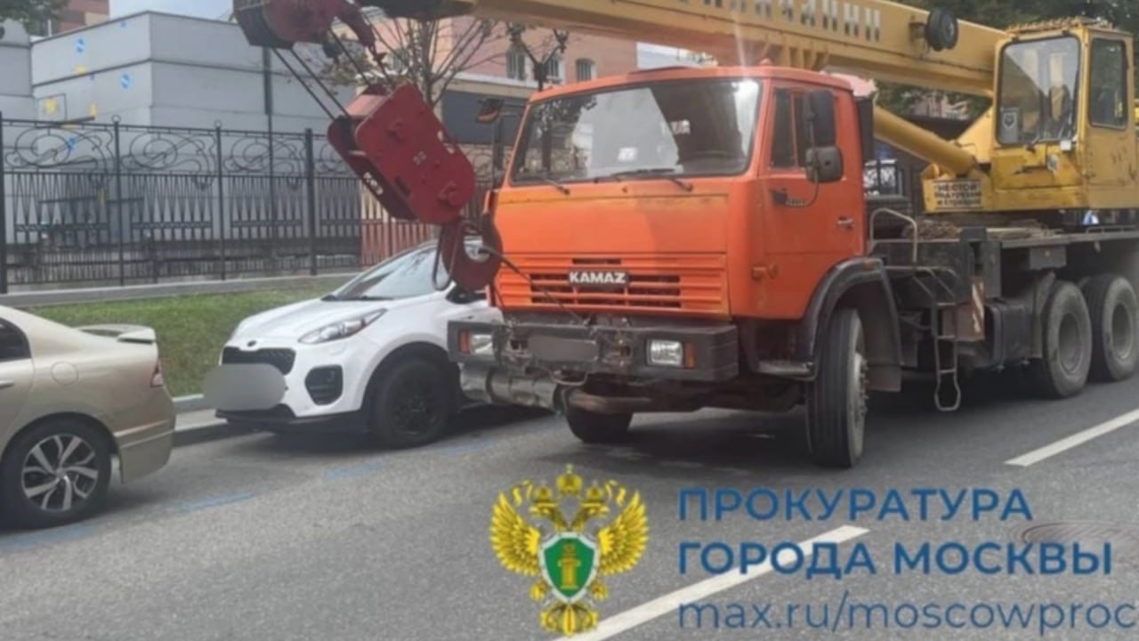 Объявление о питомце в Домодедове — фото объявления