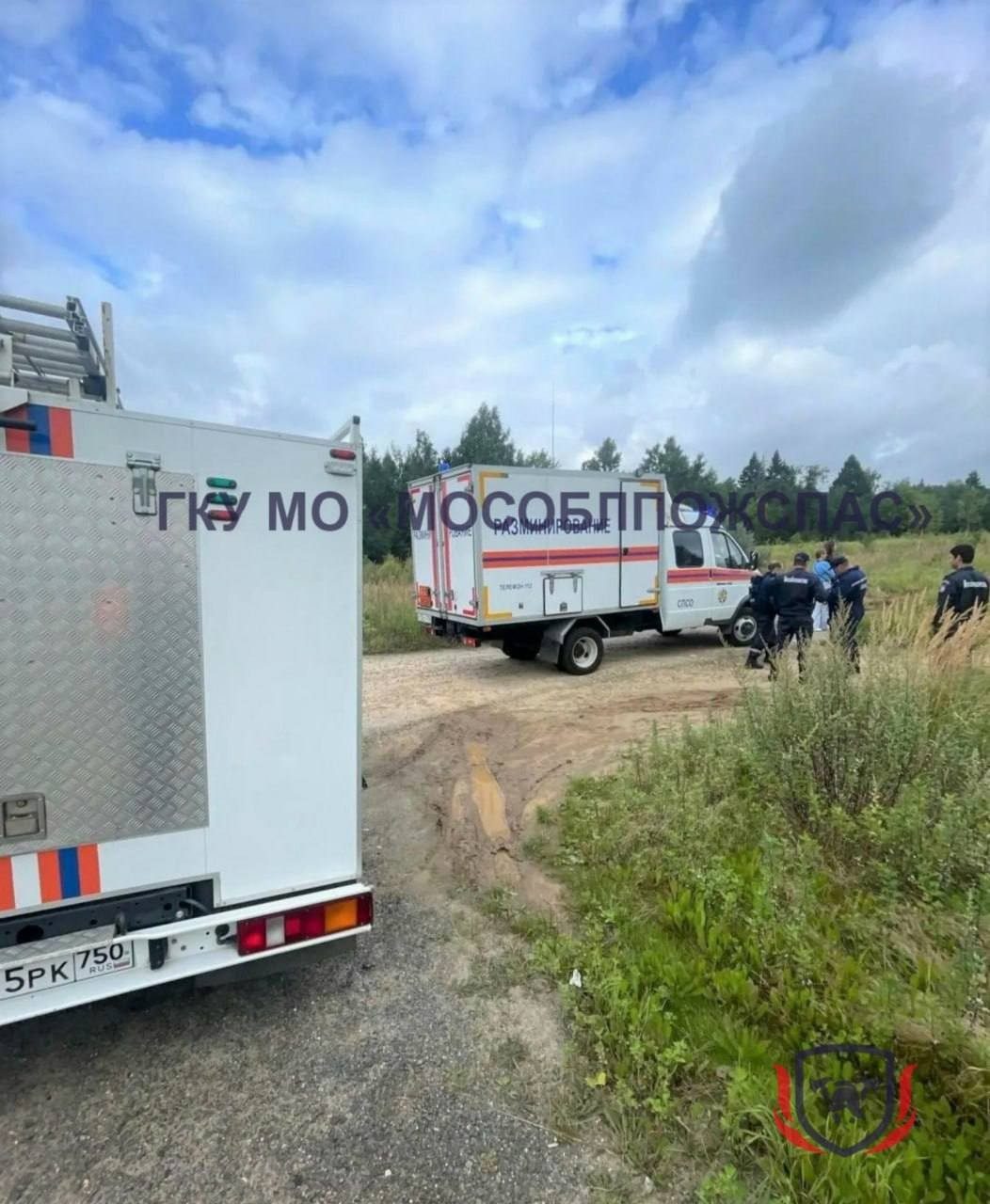 Объявление о питомце в Солнечногорске — фото объявления