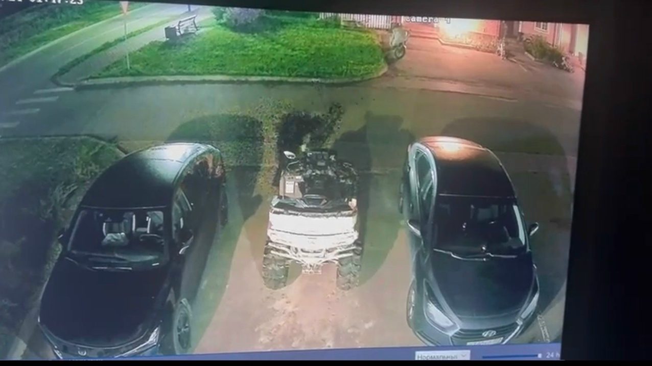 Объявление о питомце в Троицке — фото объявления