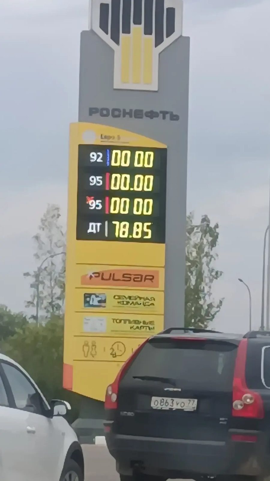 Объявление о питомце в Долгопрудном — фото объявления