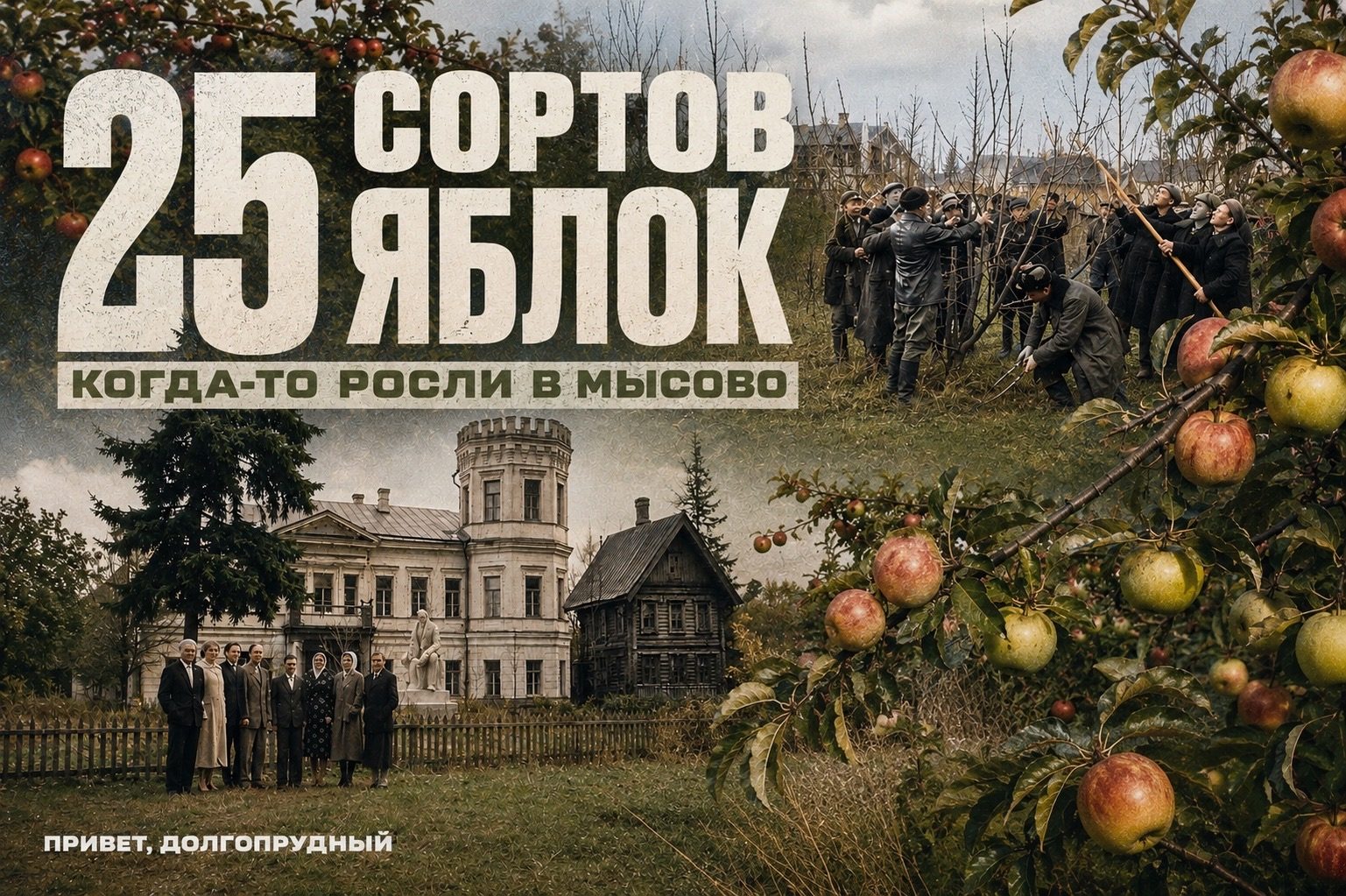 Объявление о питомце в Долгопрудном — фото объявления