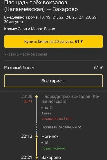 Объявление о питомце в Ногинске — фото объявления