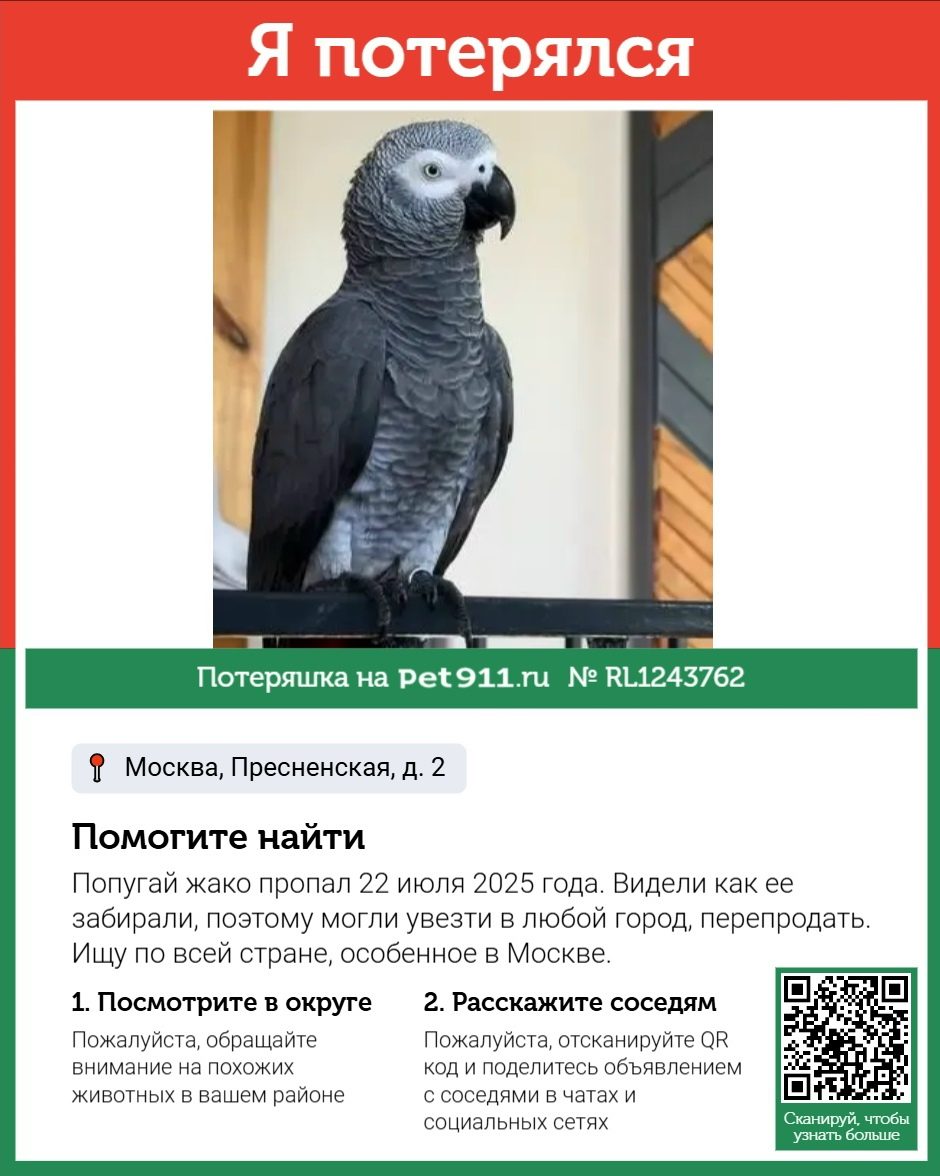 Найдена собака в Реутове — фото объявления