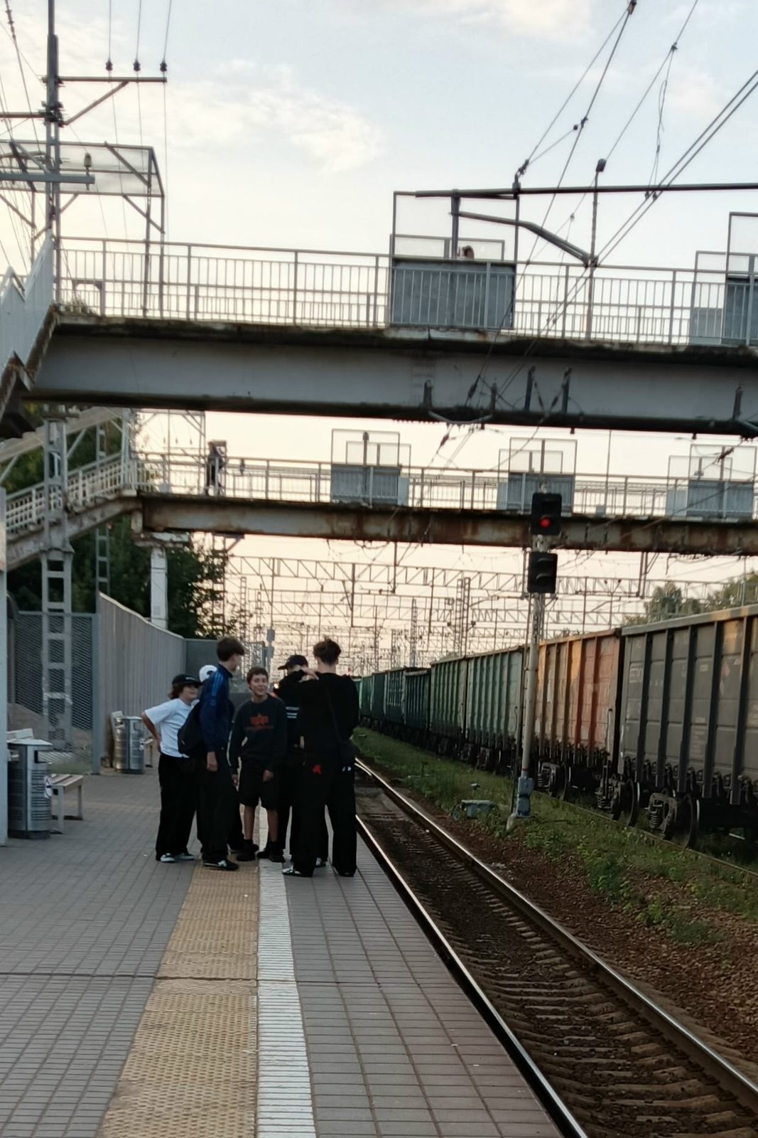 Объявление о питомце в Домодедове — фото объявления