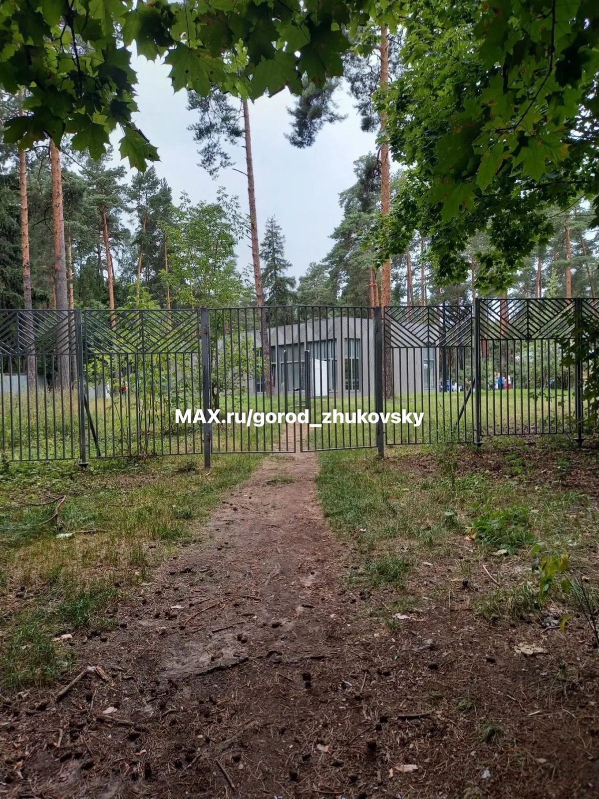Объявление о питомце в Жуковском — фото объявления