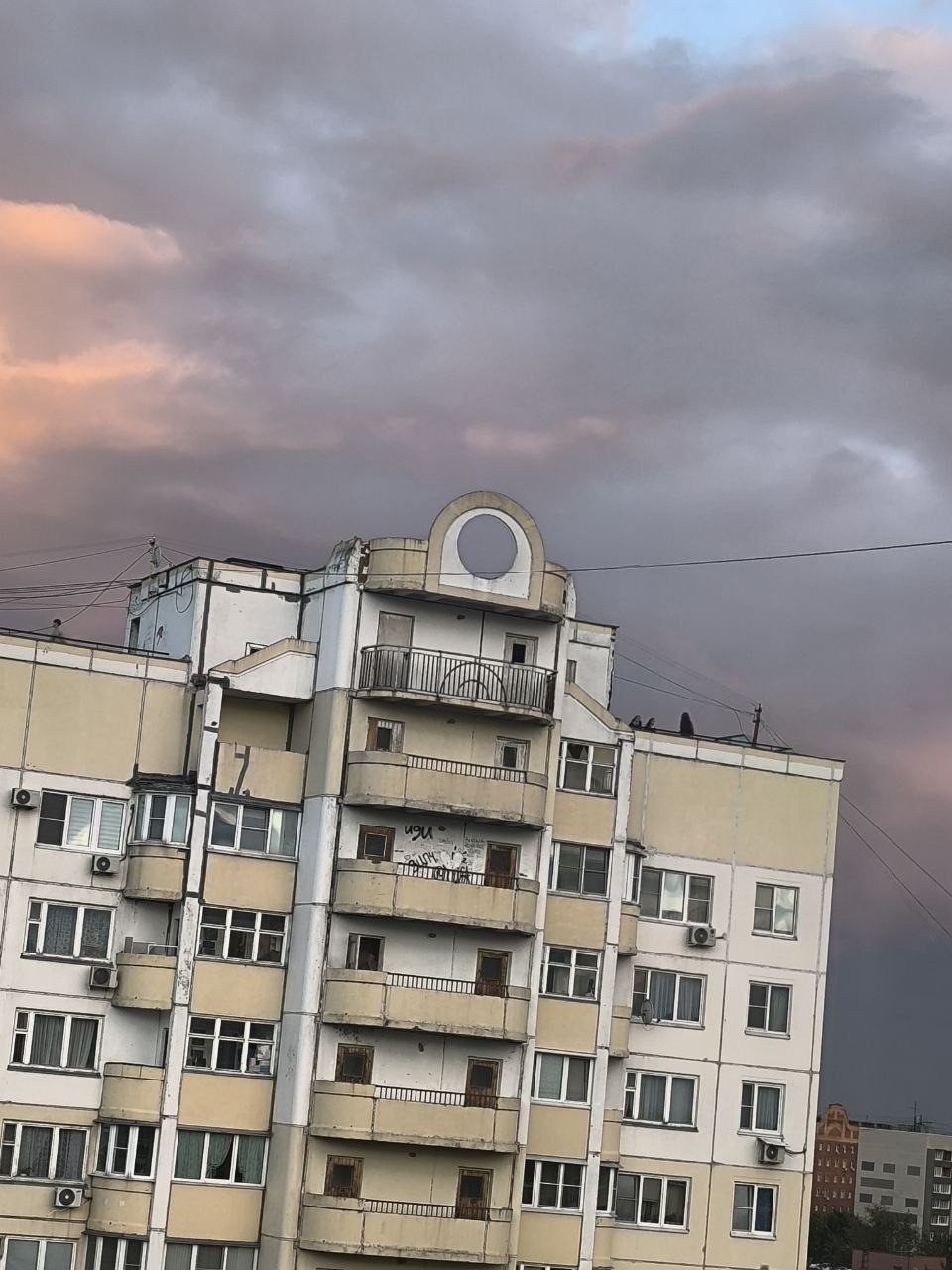 Объявление о питомце в Домодедове — фото объявления