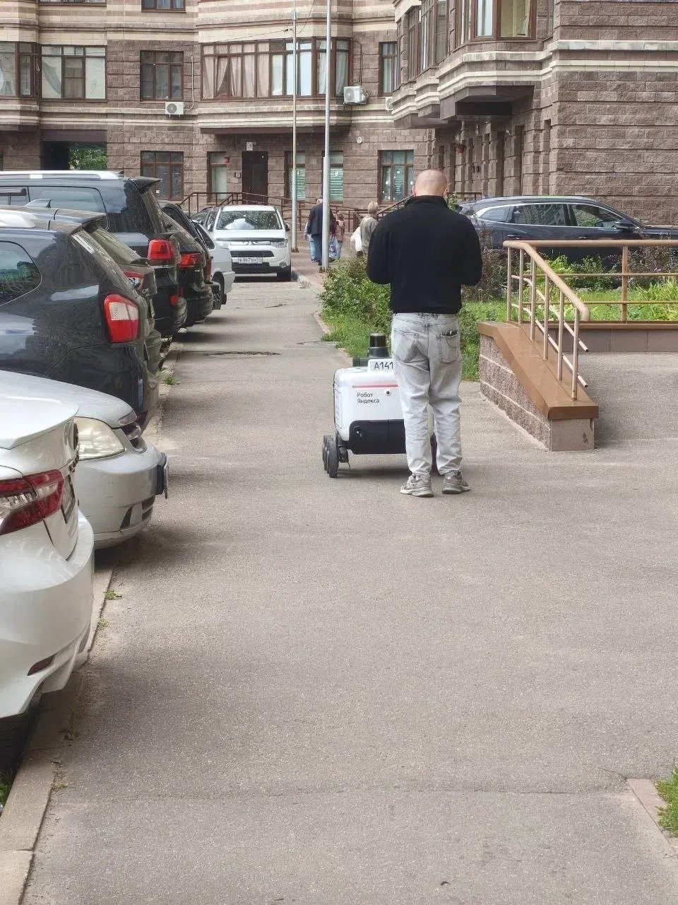 Объявление о питомце в Жуковском — фото объявления