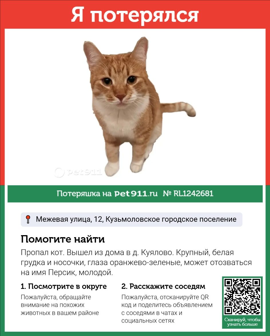 Найдена кошка в Гатчине — фото объявления