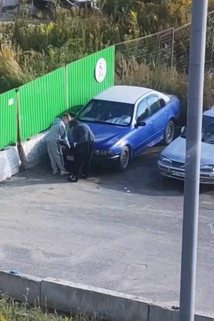Объявление о питомце в Троицке — фото объявления