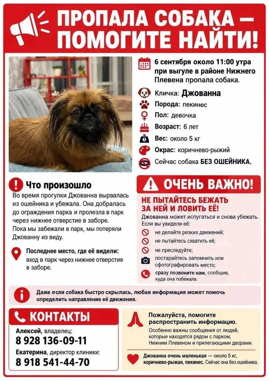 Объявление о питомце в Ростове-на-Дону — фото объявления