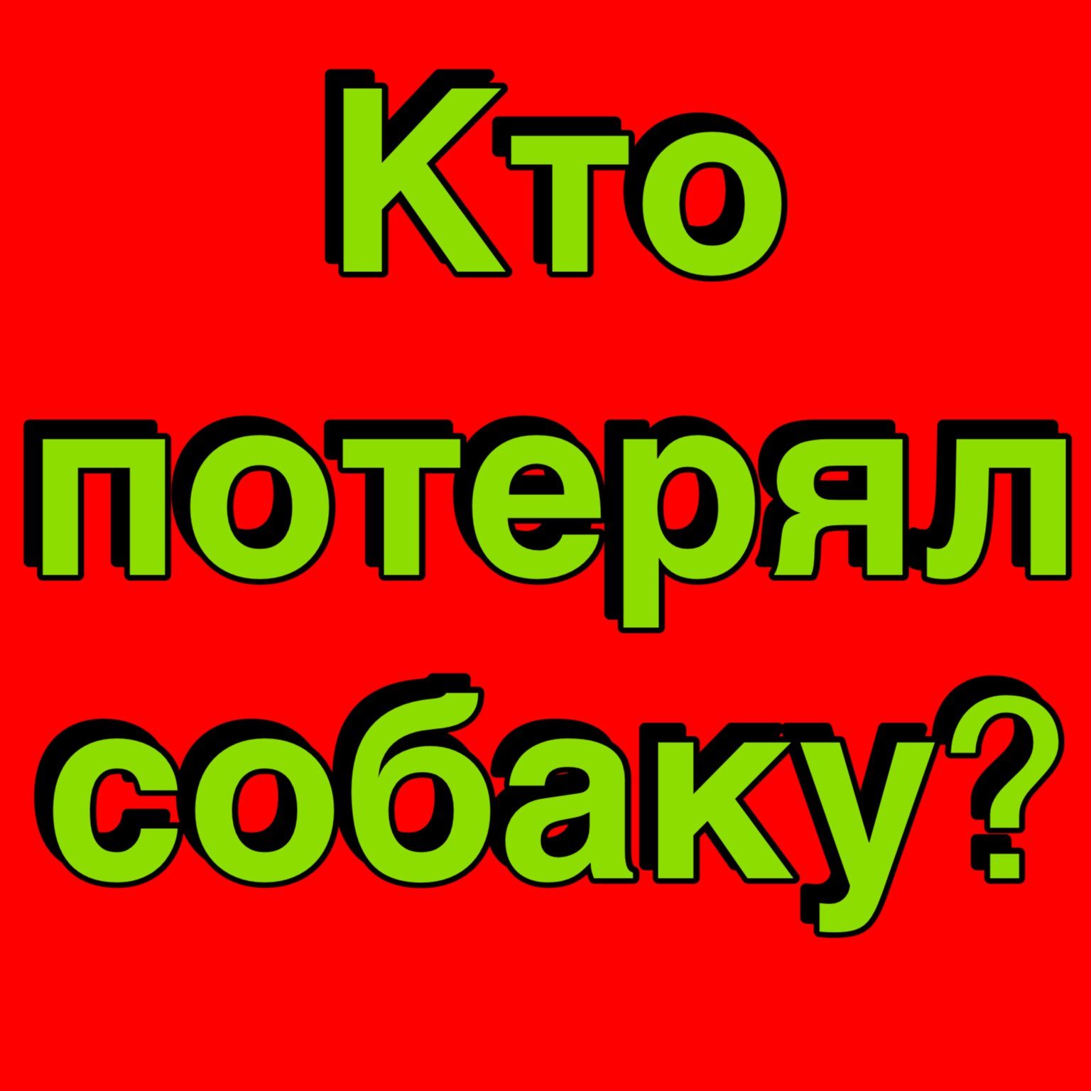 Найдена собака в Калуге — фото объявления