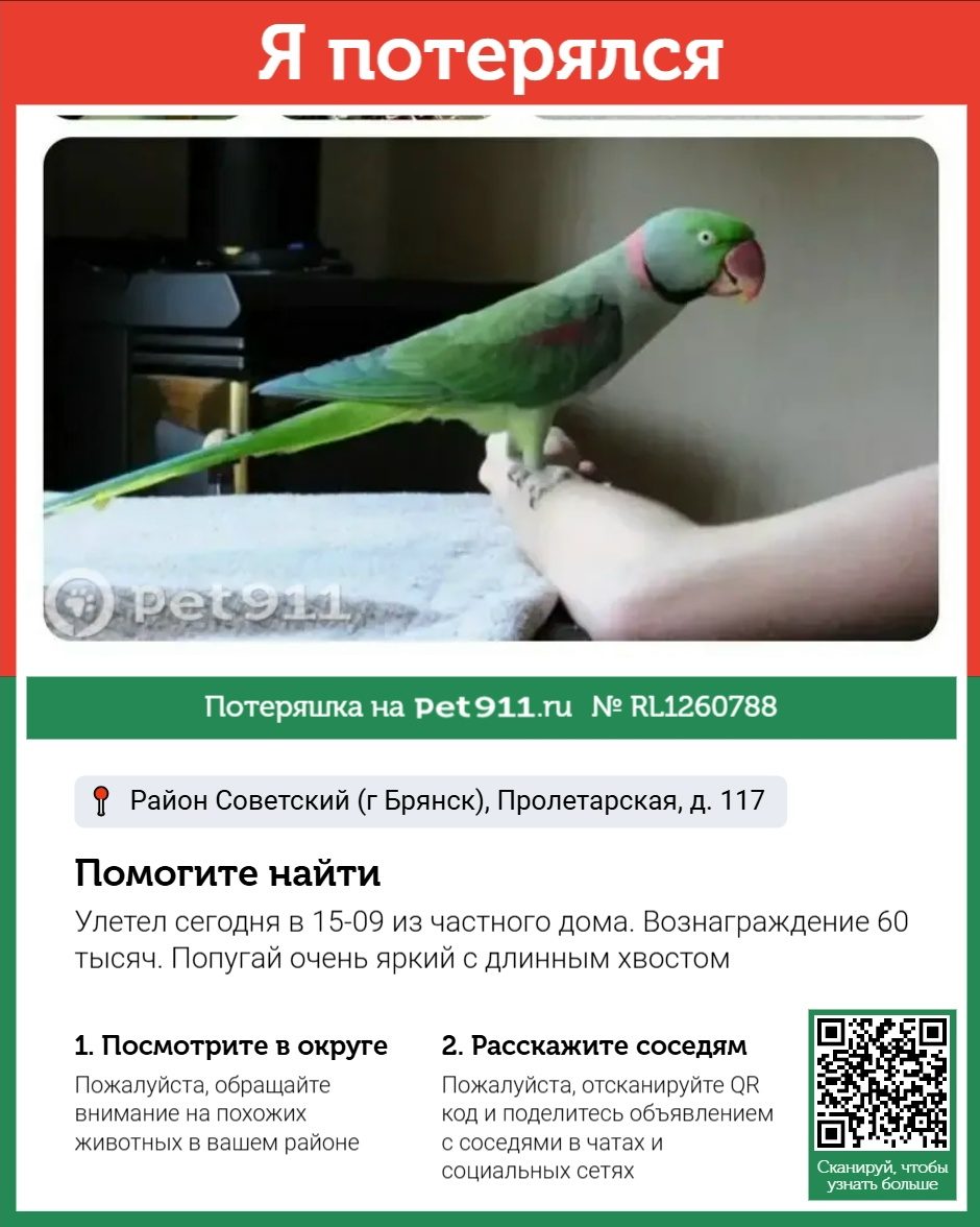 Объявление о питомце в Брянске — фото объявления