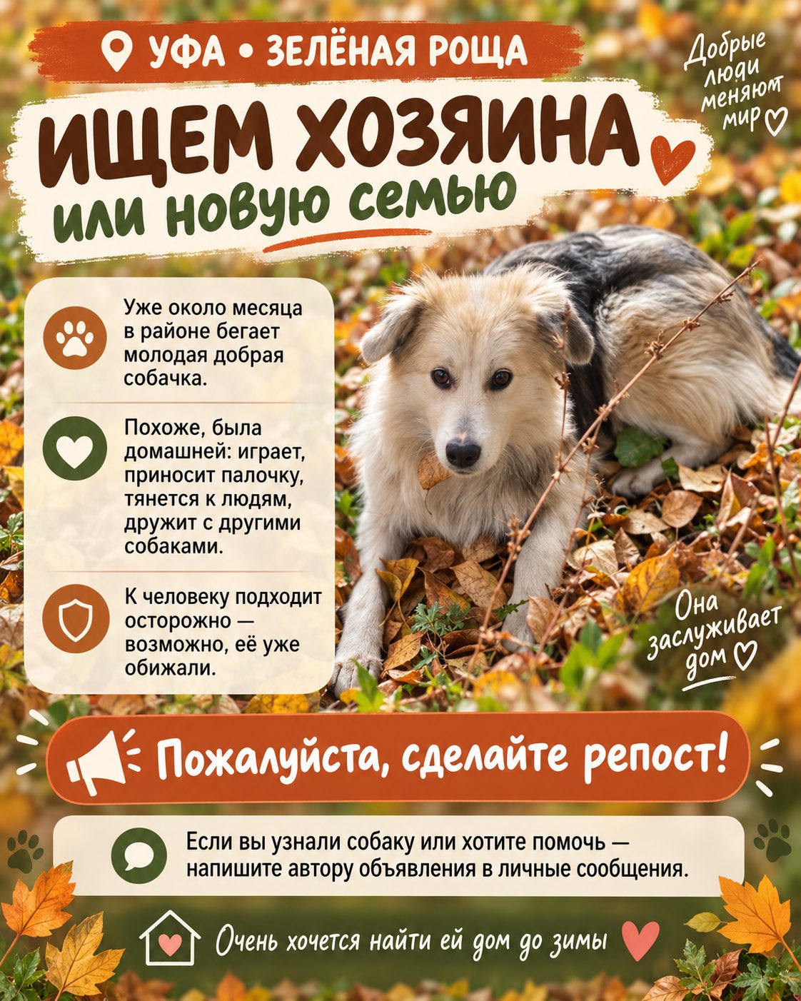 Найдена собака в Уфе — фото объявления