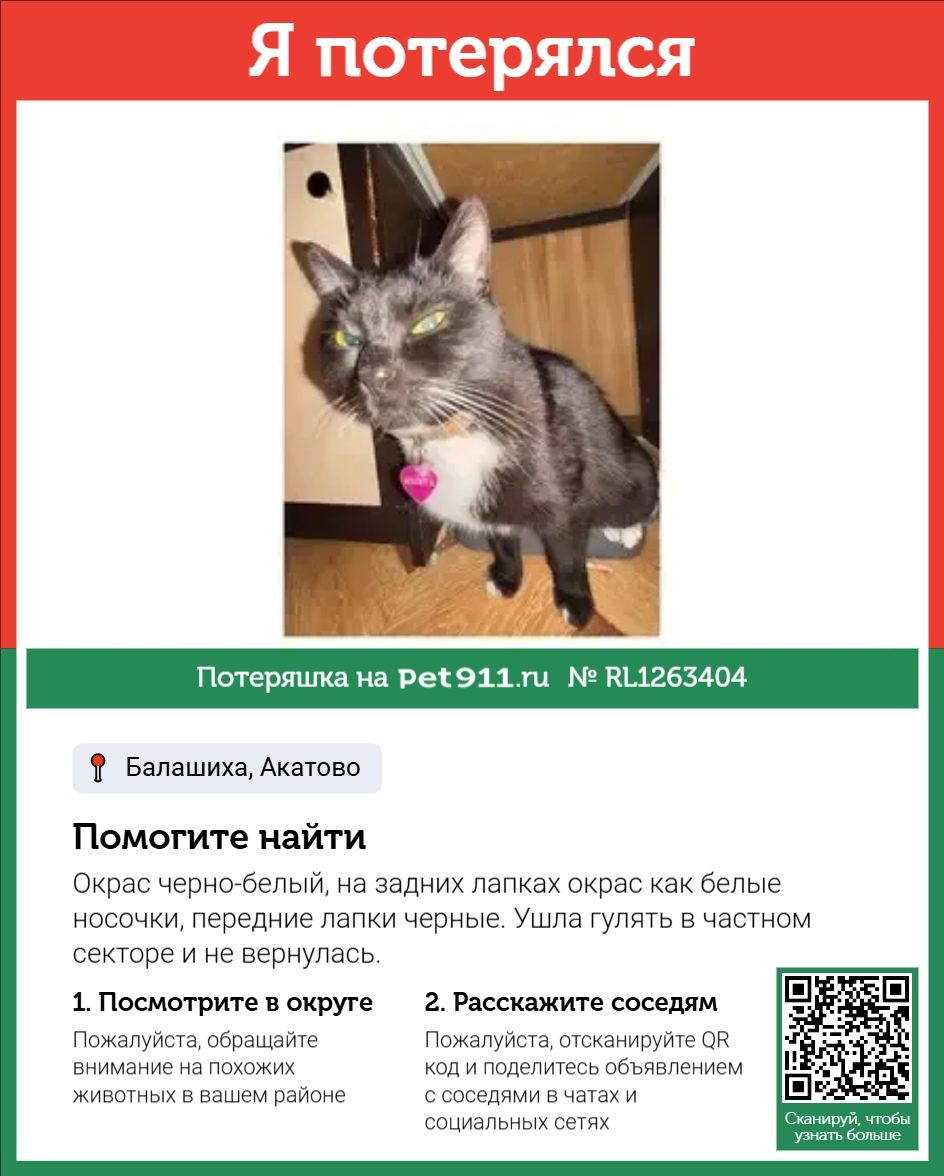Найдена кошка в Отрадном — фото объявления