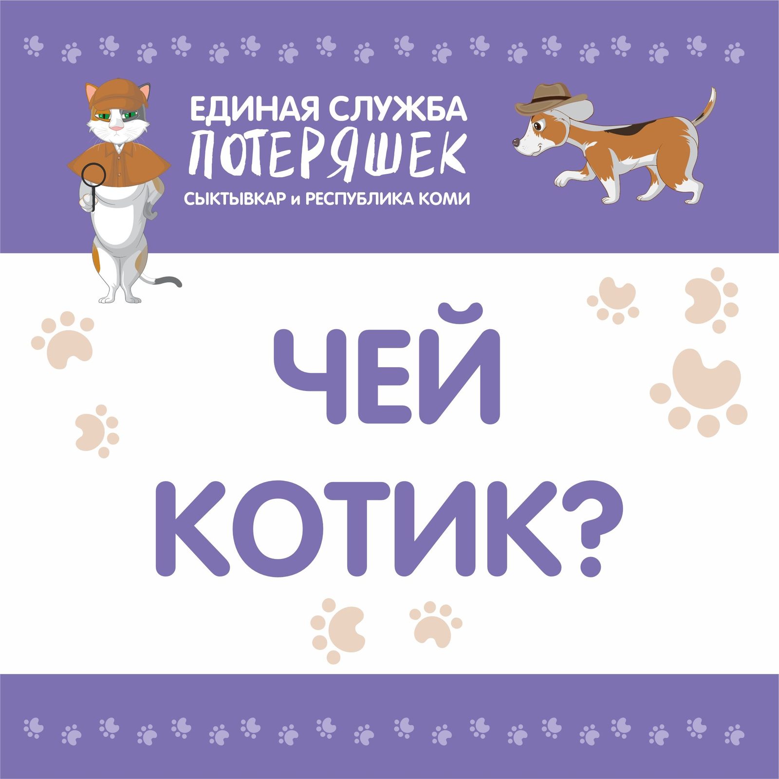 Найдена кошка в Сыктывкаре — фото объявления