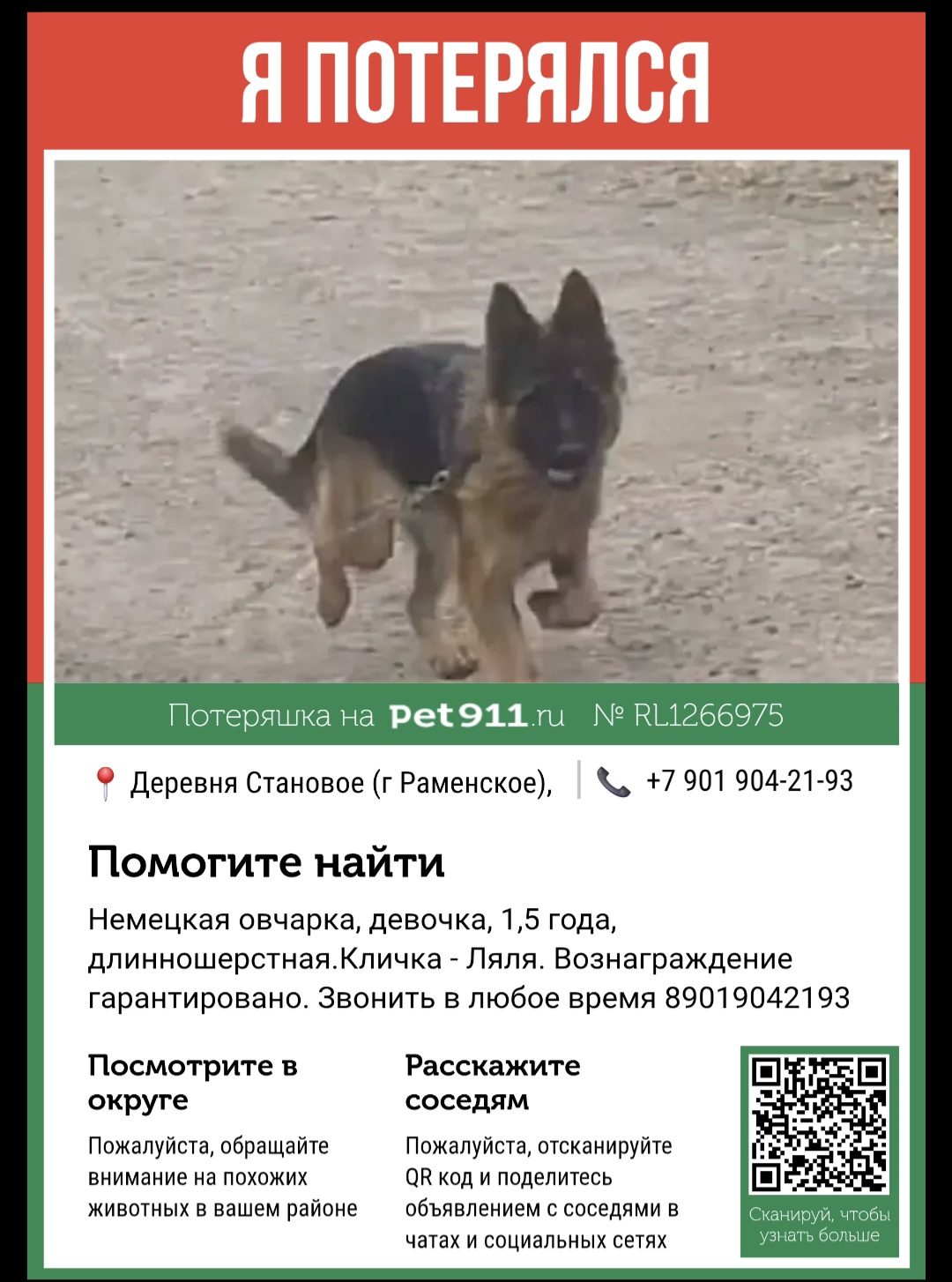 Пропала собака в Раменском — фото объявления