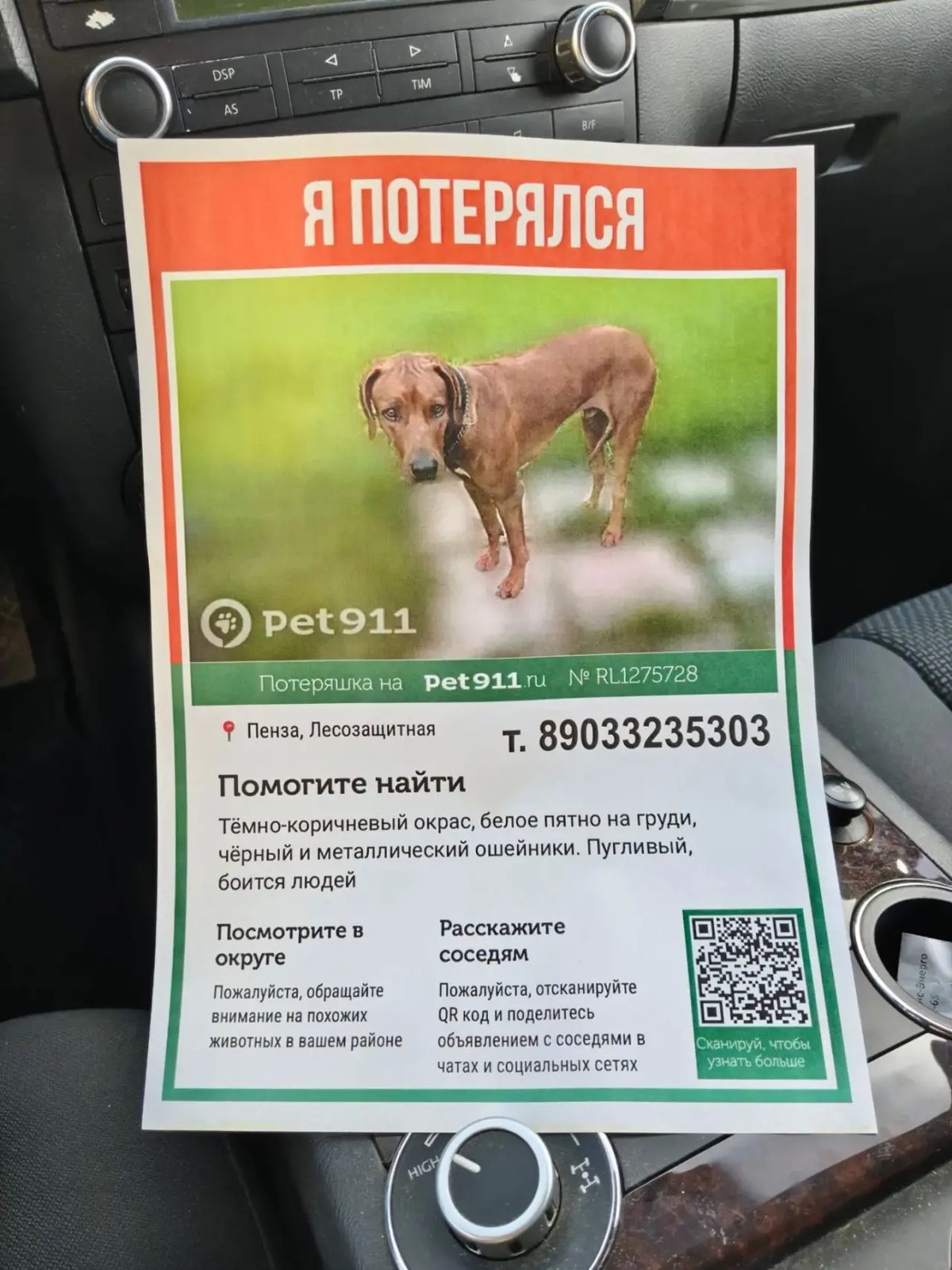 Пропала собака в Пензе — фото объявления