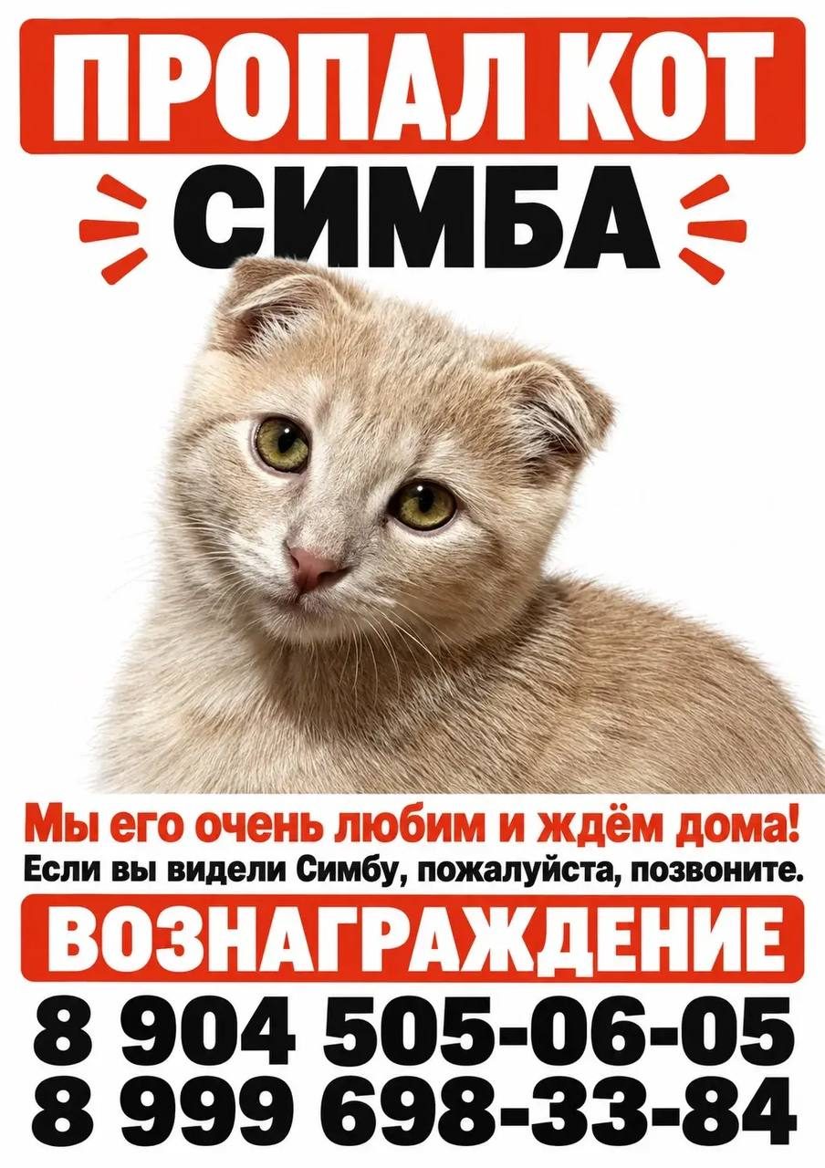 Пропала кошка в Таганроге — фото объявления