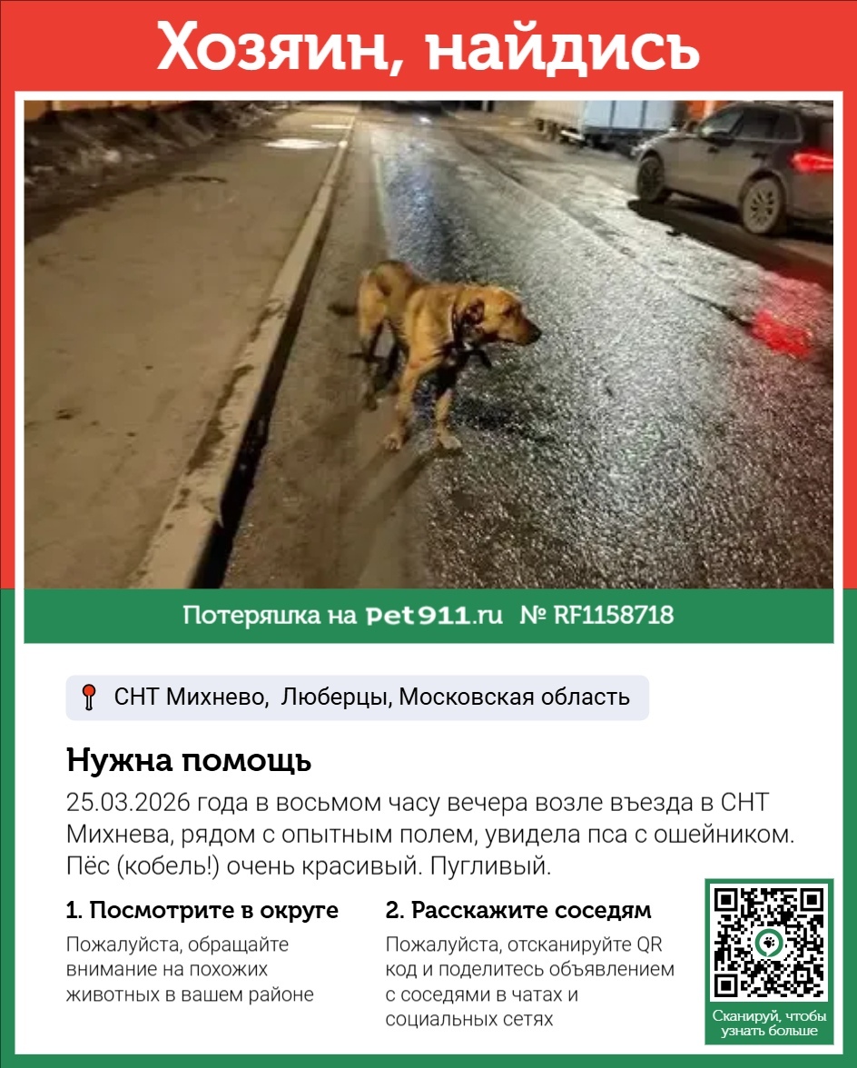 Найдена собака в Москве — фото объявления