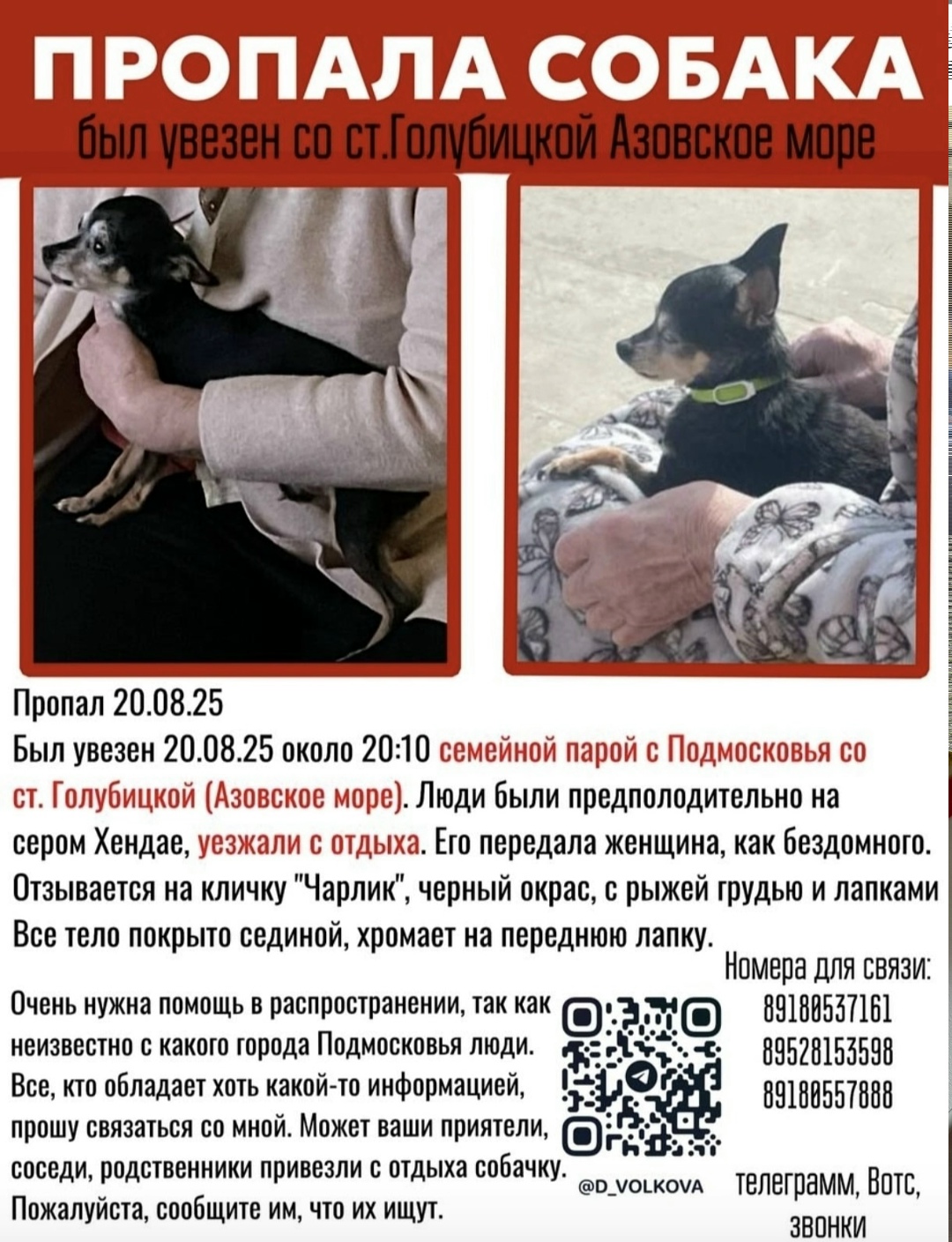 Пропала собака в Москве — фото объявления