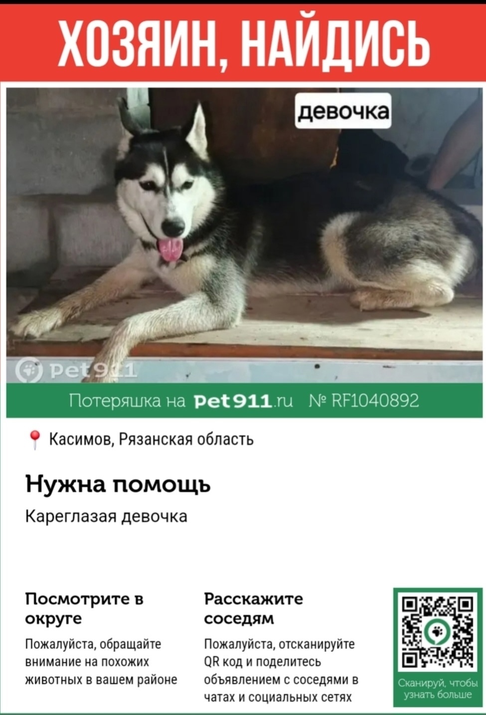 Найдена собака в Москве — фото объявления