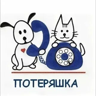 Найдена собака в Иркутске — фото объявления
