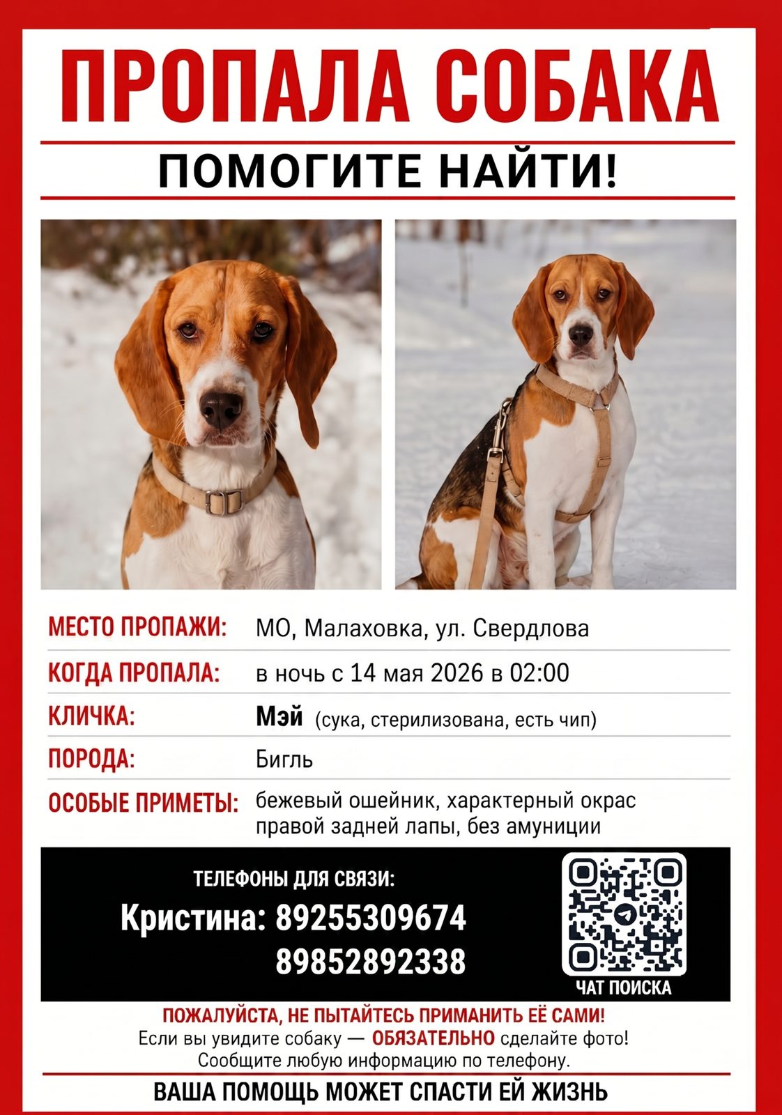 Пропала собака в Люберцах — фото объявления