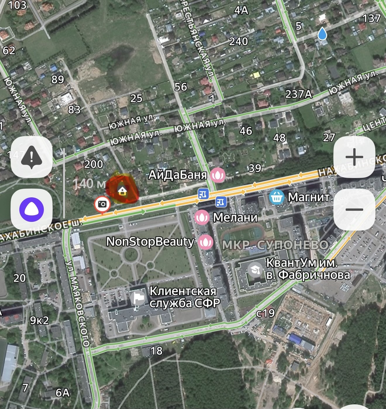 Пропала собака в Звенигороде — фото объявления