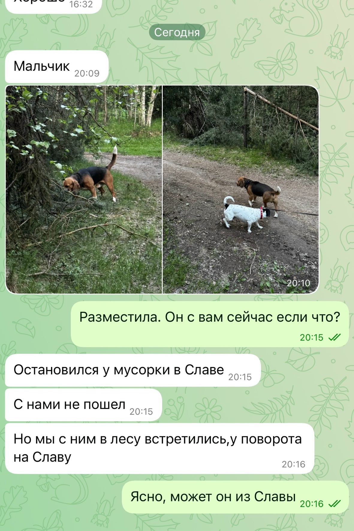 Объявление о питомце в Фрязине — фото объявления