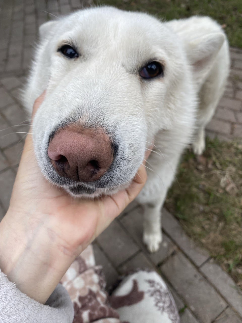 ❗❗❗Щелковский р-н.