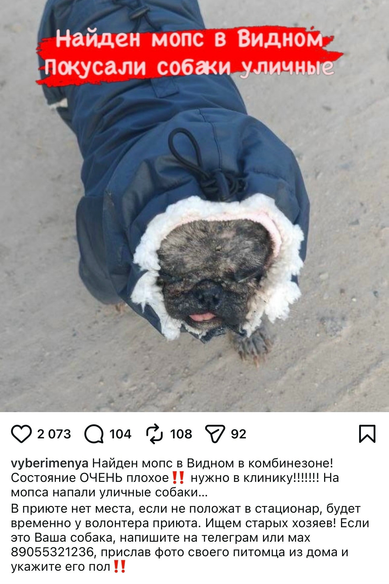 Объявление о питомце в Видном — Объявление о питомце в Видное