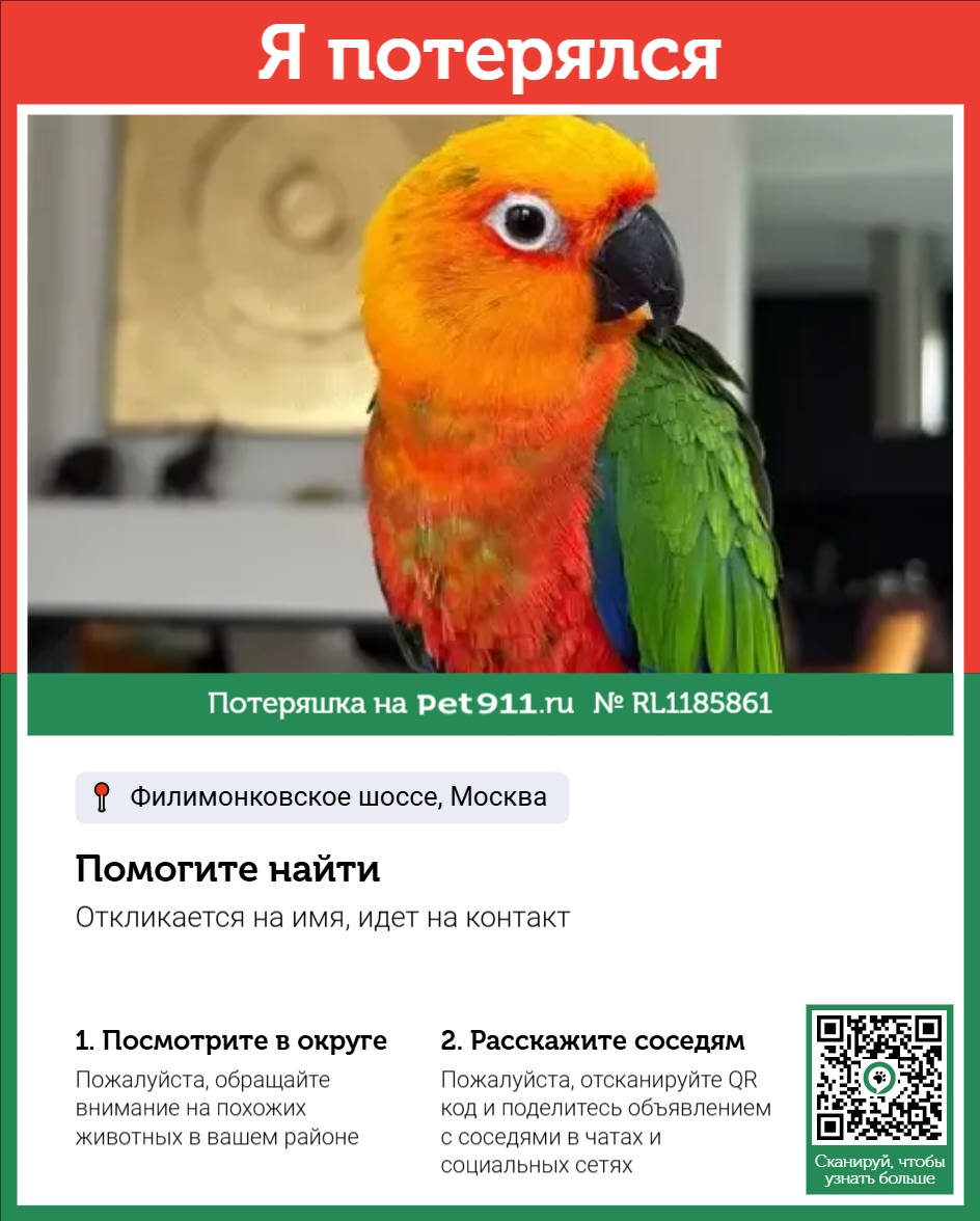 Объявление о питомце в Видном Объявление о питомце в Видном — фото объявления
