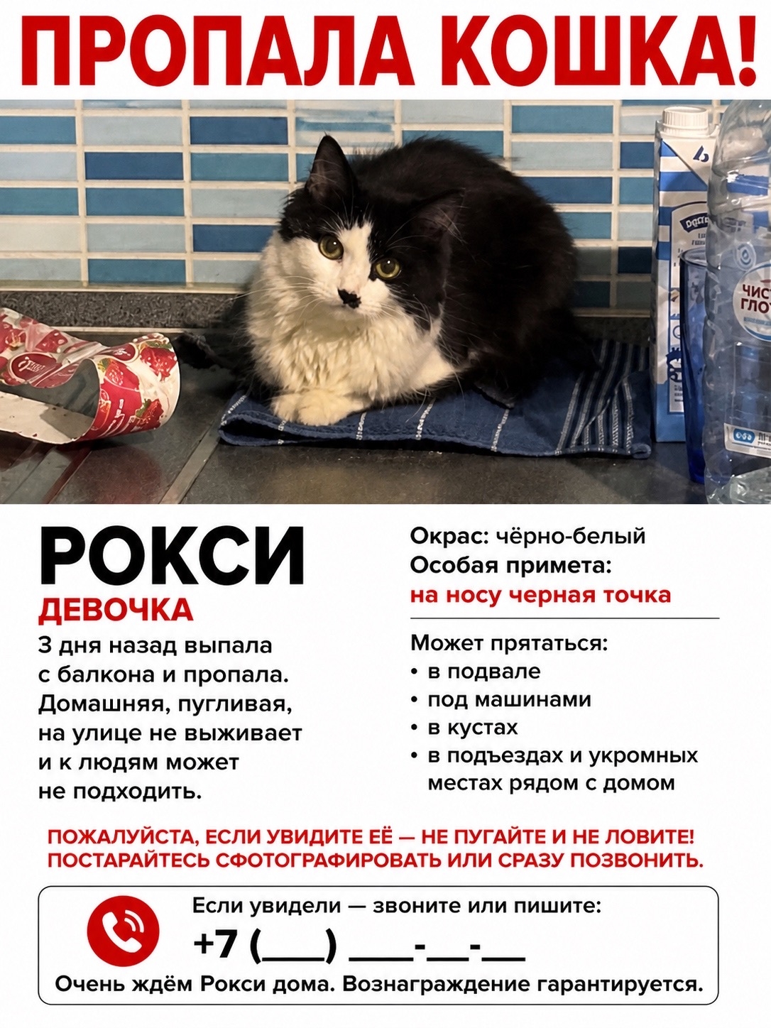 Найдена кошка в Химках — фото объявления