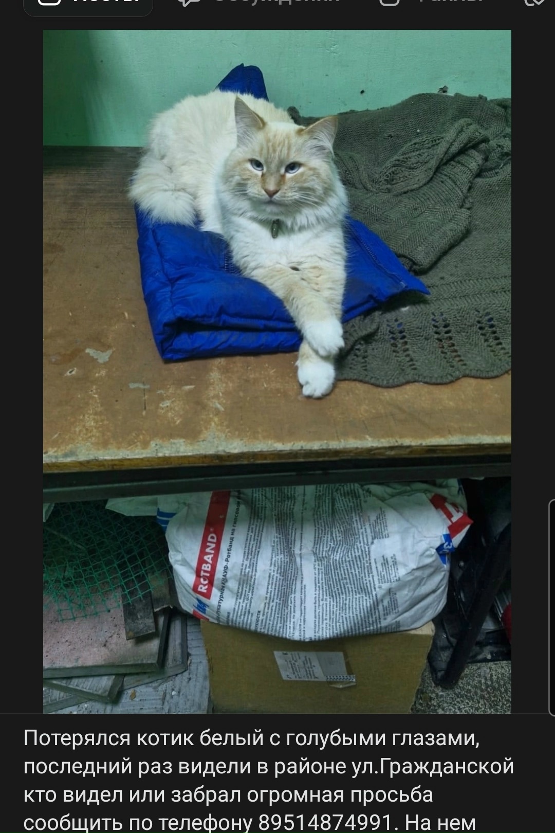 Объявление о питомце в Другие города